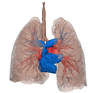 Pulmonology